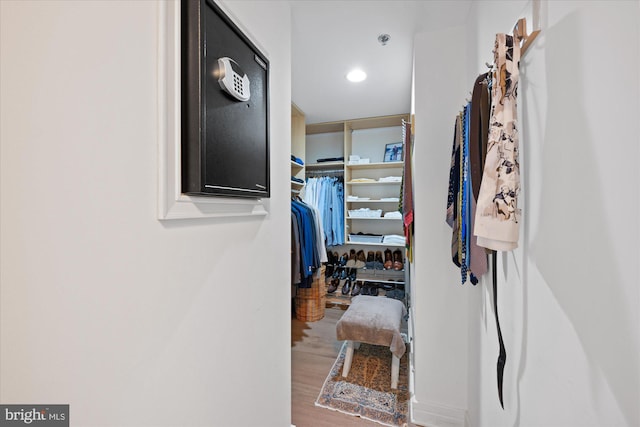 spacious closet with wood-type flooring