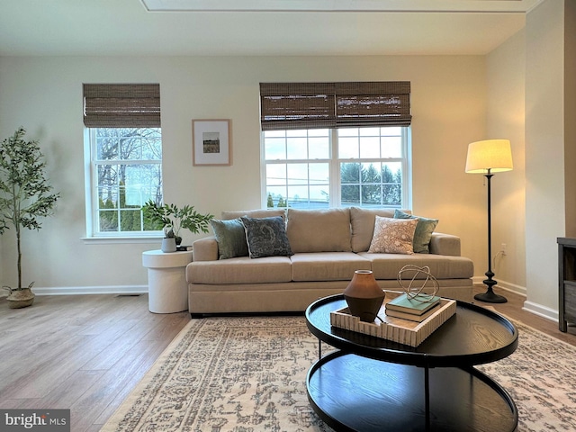 living room with hardwood / wood-style floors