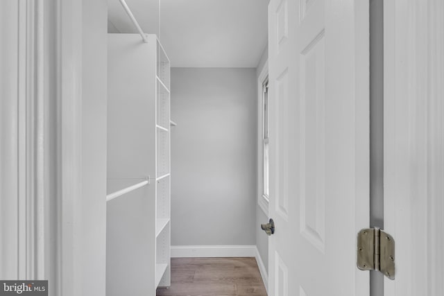 walk in closet with wood-type flooring