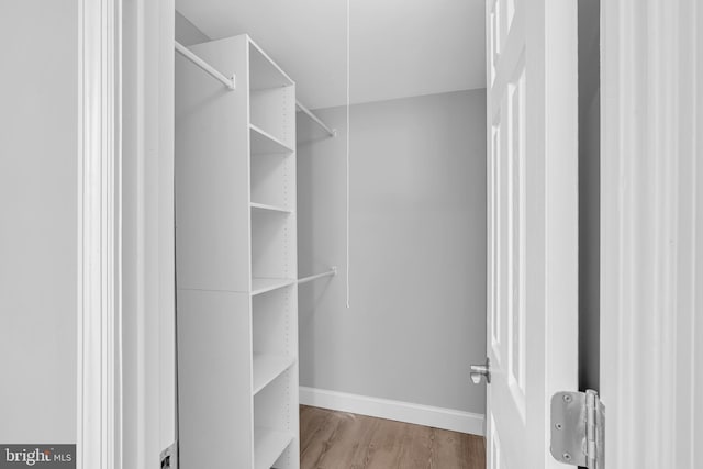 spacious closet with light hardwood / wood-style floors