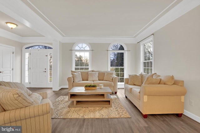 living room featuring wood-type flooring