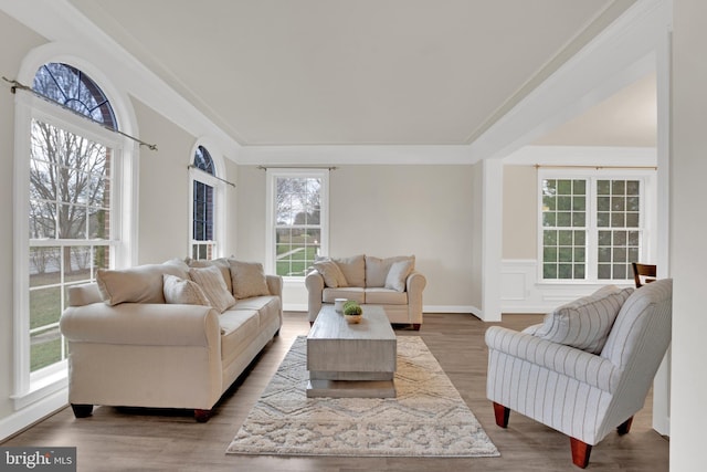 living room with wood-type flooring and crown molding