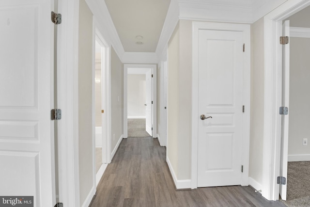 corridor with hardwood / wood-style floors and crown molding