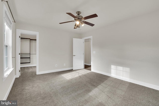 unfurnished bedroom with ceiling fan, a walk in closet, a closet, and carpet floors