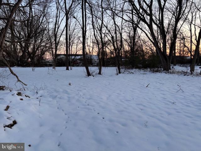 view of yard layered in snow