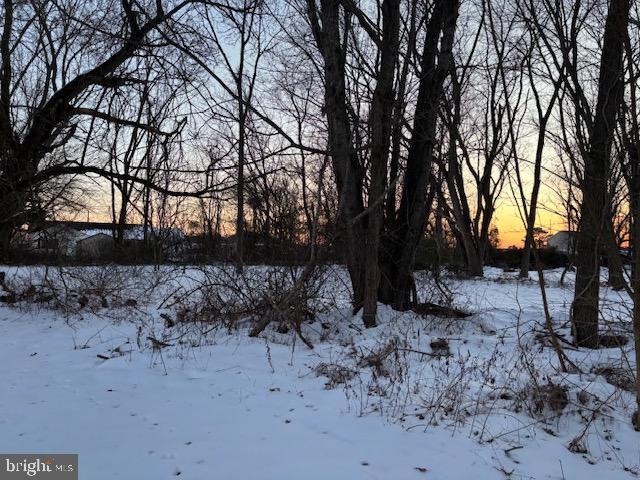 view of snowy landscape