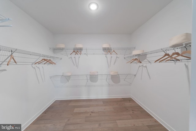 spacious closet featuring wood-type flooring