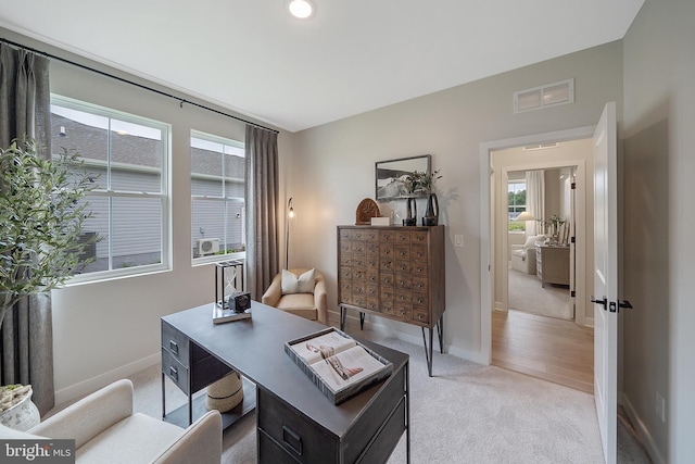 office area featuring light carpet and plenty of natural light