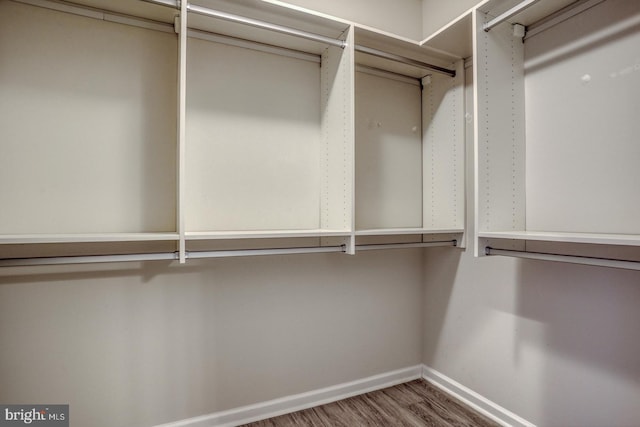 spacious closet with wood-type flooring