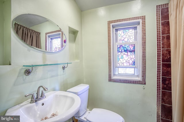 bathroom featuring sink and toilet