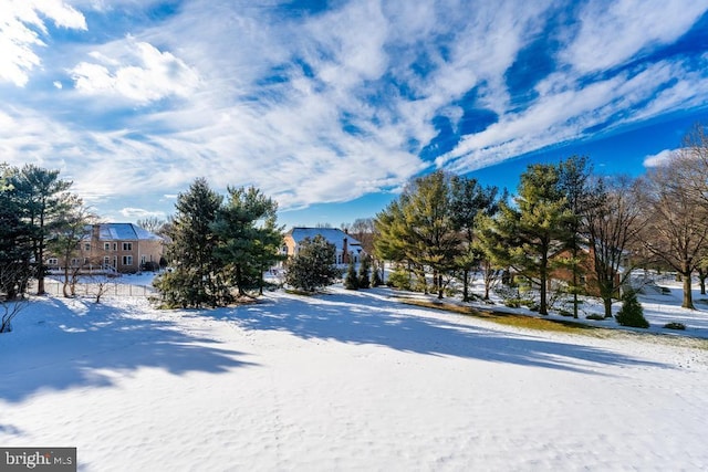 view of yard layered in snow