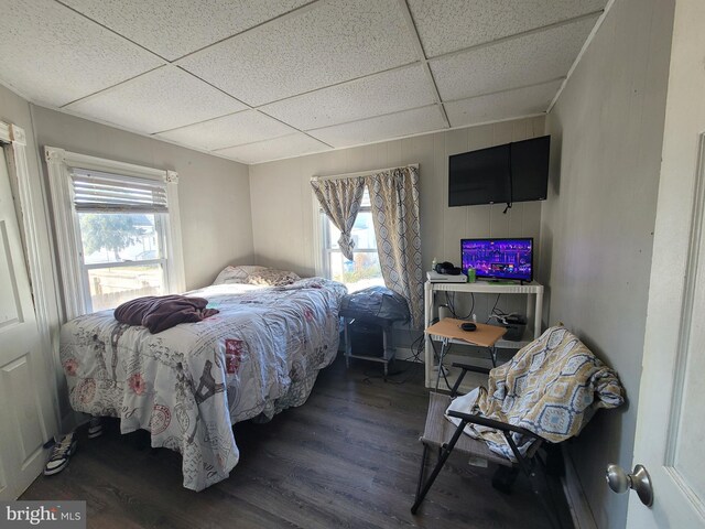 bedroom featuring a paneled ceiling and dark wood-type flooring