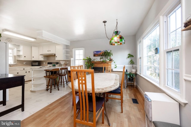 dining room featuring light hardwood / wood-style floors and a healthy amount of sunlight