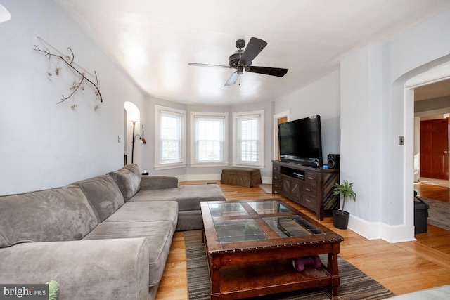 living room featuring ceiling fan and light hardwood / wood-style flooring