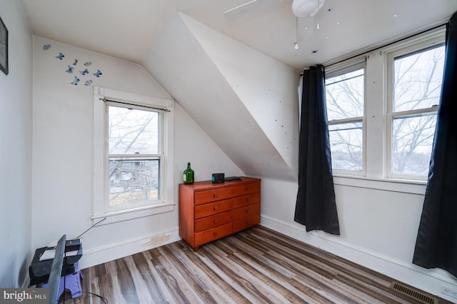 additional living space featuring plenty of natural light, vaulted ceiling, and wood-type flooring