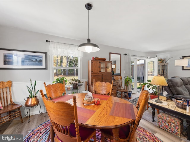 dining area featuring wood-type flooring