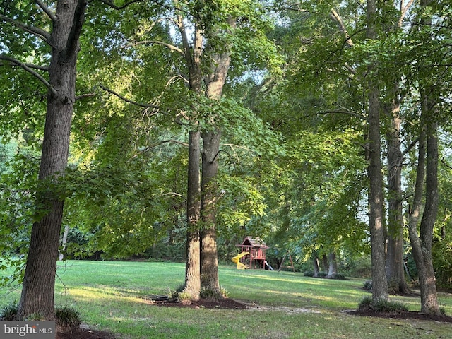 view of home's community with a lawn and a playground