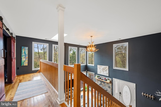 hall with a barn door, a chandelier, a wealth of natural light, and light wood-type flooring