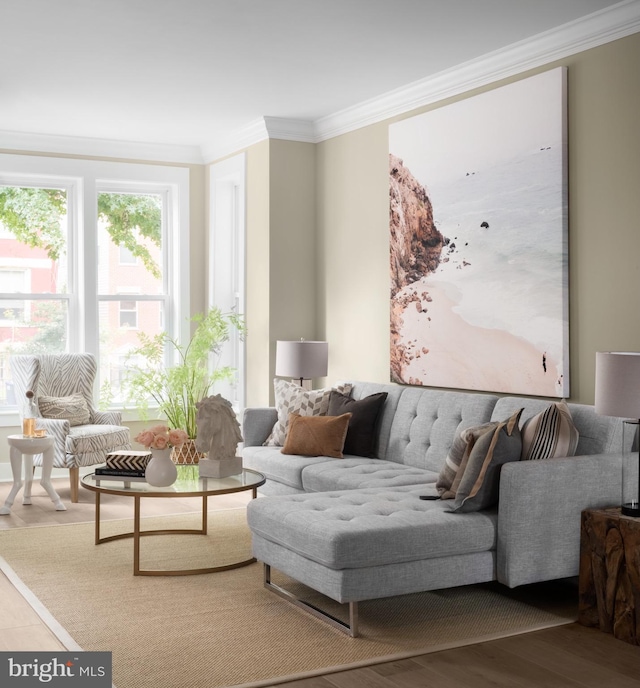 living room with ornamental molding and hardwood / wood-style floors