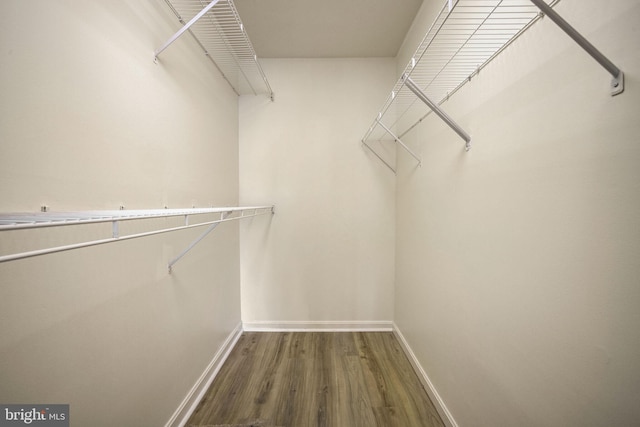 walk in closet with dark wood-type flooring