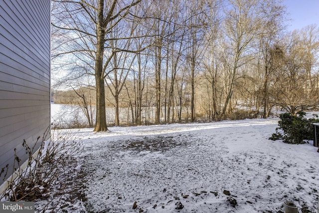 view of snowy yard