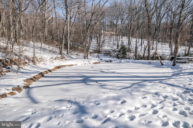 view of yard covered in snow