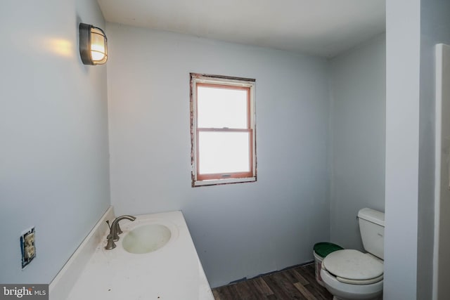 bathroom with toilet, vanity, and wood-type flooring