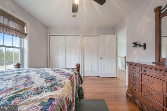 bedroom featuring wood finished floors, ceiling fan, and two closets