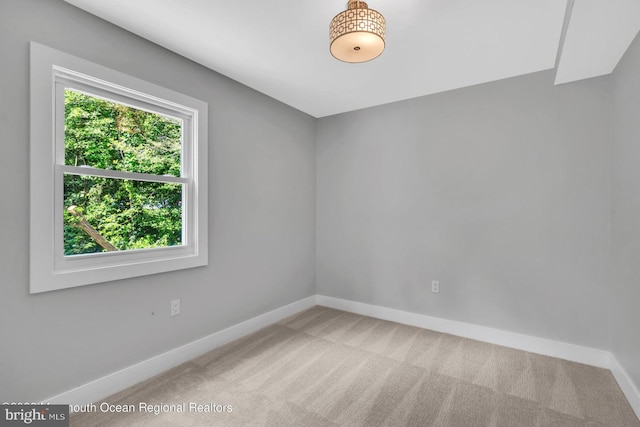 unfurnished room featuring carpet