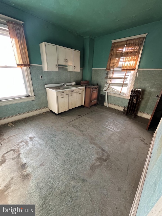 kitchen with white cabinets and sink