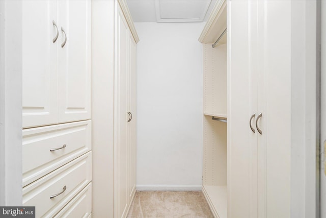 walk in closet with light carpet