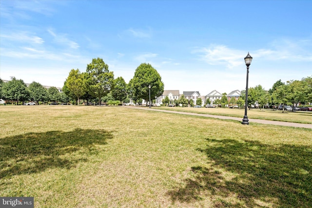 view of home's community featuring a yard