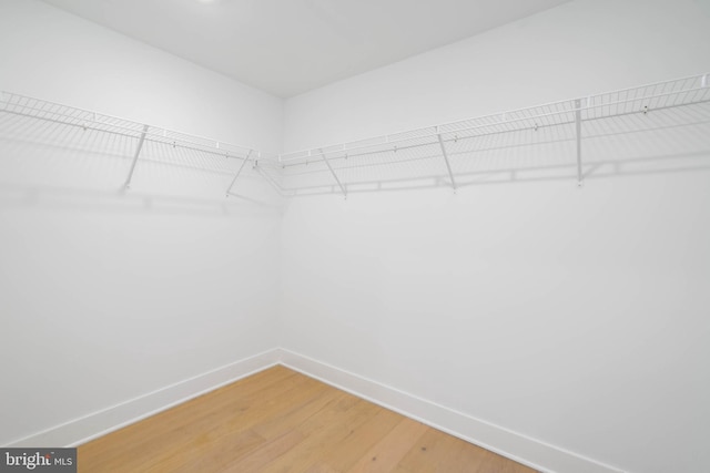 walk in closet featuring wood-type flooring