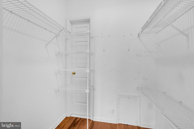 walk in closet with wood-type flooring