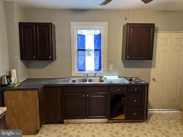 kitchen featuring dark brown cabinetry, ceiling fan, and sink