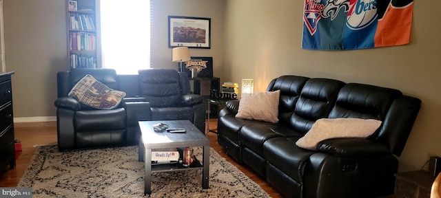 living room featuring hardwood / wood-style floors