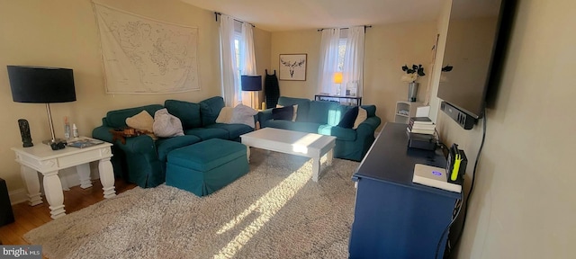 living room featuring hardwood / wood-style floors