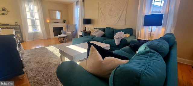 living room with a healthy amount of sunlight and hardwood / wood-style flooring