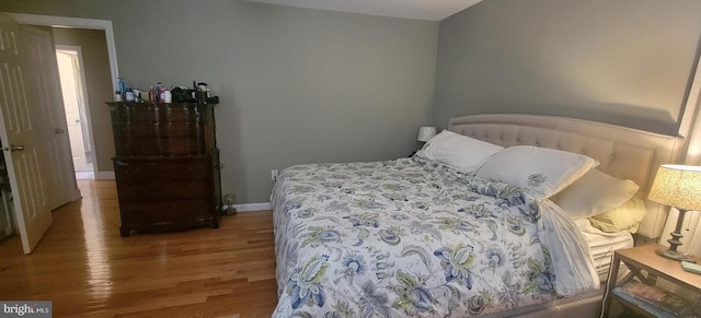 bedroom featuring wood-type flooring