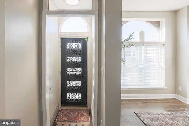 foyer entrance featuring hardwood / wood-style floors and plenty of natural light