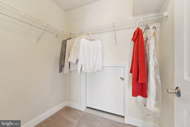 spacious closet with carpet floors