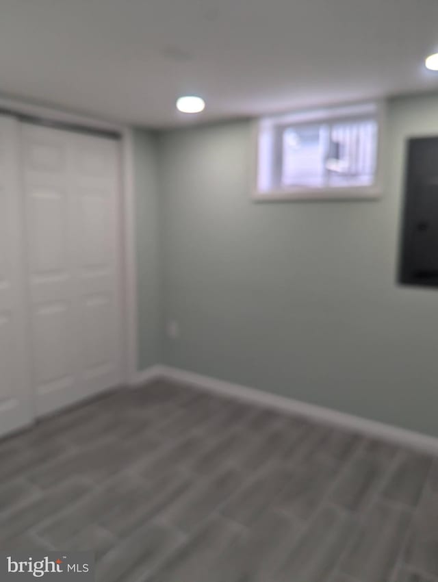 basement featuring wood-type flooring