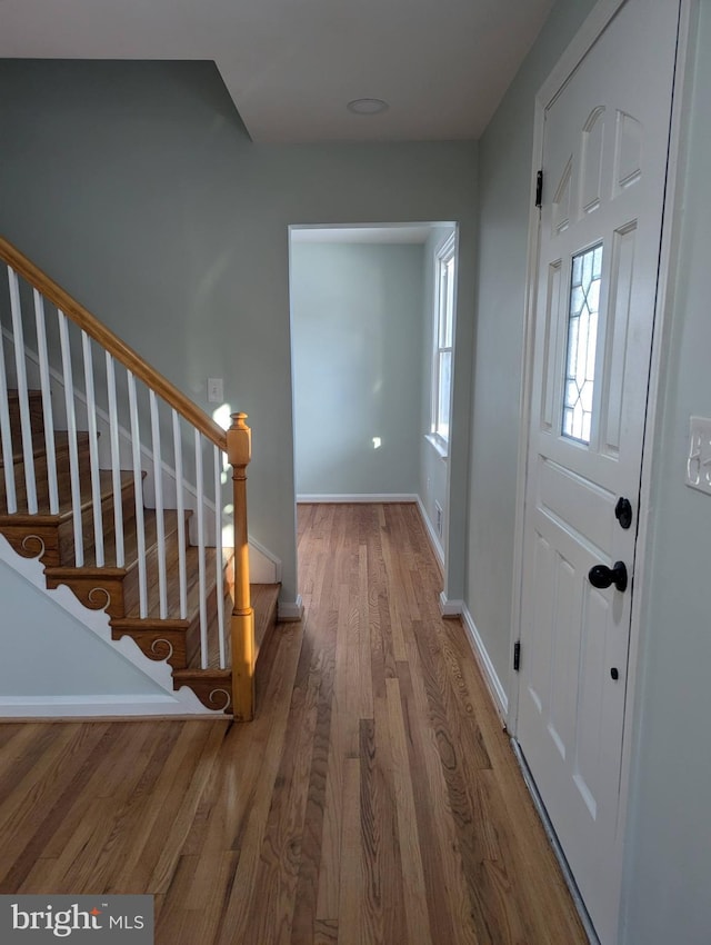 foyer entrance featuring wood-type flooring