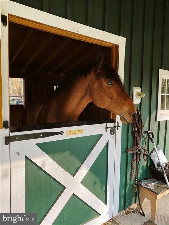 view of stable