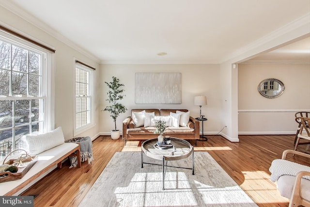 living room featuring ornamental molding and light hardwood / wood-style flooring