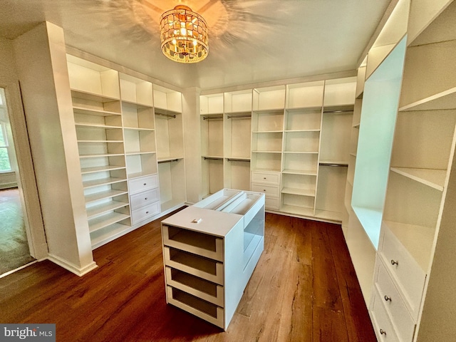 walk in closet with dark wood-type flooring and a chandelier