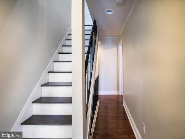 stairs with ornamental molding and hardwood / wood-style floors