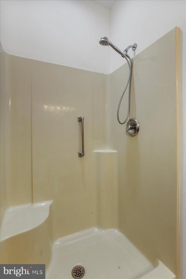 bathroom with a shower