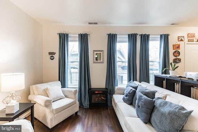 living room featuring dark hardwood / wood-style flooring