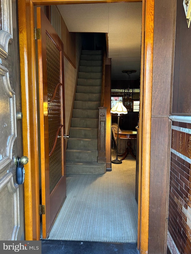 staircase with carpet floors